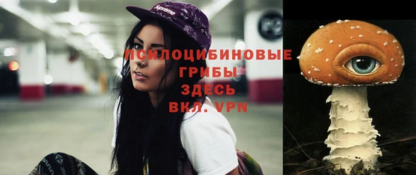 трава Верхний Тагил