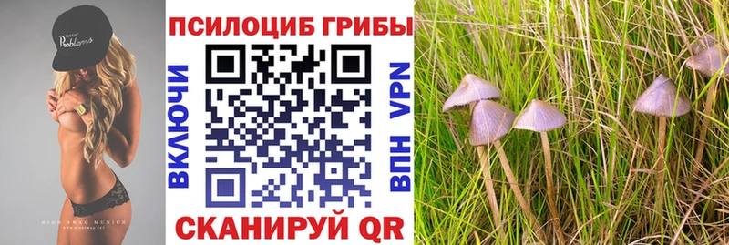Псилоцибиновые грибы Magic Shrooms  Буйнакск 